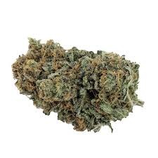 Animal Mints Bx1